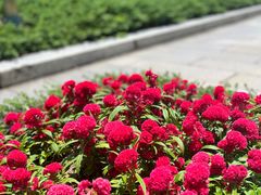 -韶山毛泽东同志故居