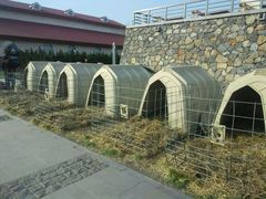 -君乐宝优致牧场