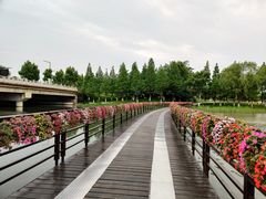 -桐乡凤凰湖