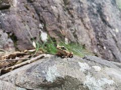 -磐安十八涡风景区