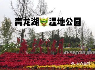 成都攻略| 成都必打卡的天然氧吧—青龙湖湿地公园