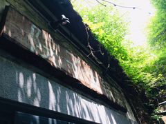 -院子餐厅·大锅菜·老杭帮(桥西直街店)