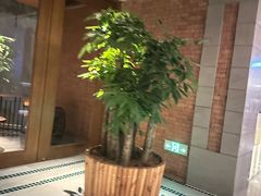 -浅深Cheersum(曹杨店)