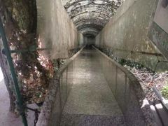 -秦岭终南山世界地质公园翠华山景区