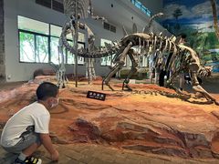 -自贡恐龙博物馆