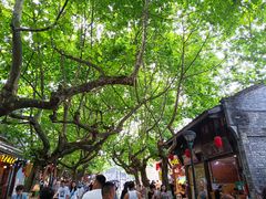 -庭院小酌(瑞莲街店)