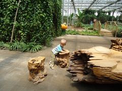 景点-观光南瓜园