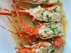 小青龙-骏莱海鲜鱼港(五角场店)