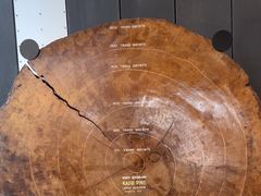 -墨尔本博物馆(Melbourne Museum)