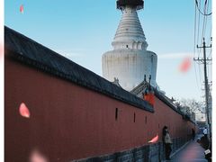 -妙应寺白塔