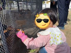 -前小桔亲子创意农场·草莓采摘·露营烧烤