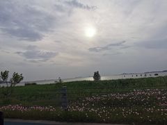 -苏州东太湖生态园