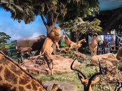 -国家自然博物馆