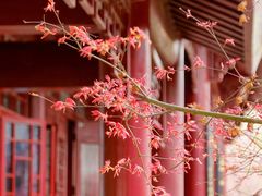 -堤角公园