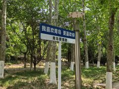-青岛海滨风景区