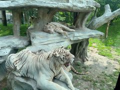 -北京野生动物园