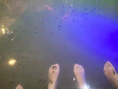 -宝丽金大酒店·洗浴中心