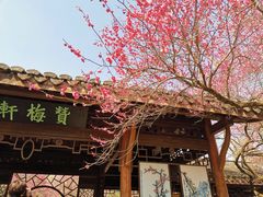 -杭州植物园