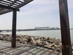-吴淞炮台湾湿地森林公园烧烤区