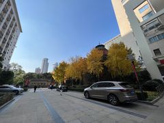 -复旦大学附属华山医院(总院)