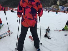 -大别山南武当滑雪场