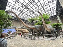 -国家自然博物馆