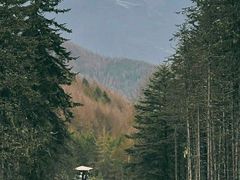 -硗碛藏寨·神木垒景区