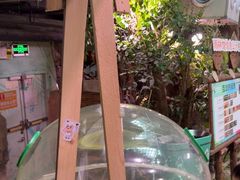 -正佳雨林生态植物园