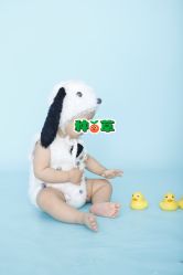 点击看大图 -童影世家儿童摄影(梨园店)