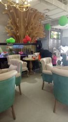-可爱多国际儿童摄影会馆(龙泉店)