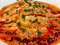 -青花椒花椒鱼(合生汇店)