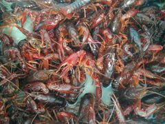 小龙虾-洱海渔家饭庄