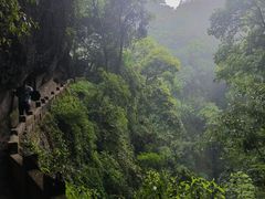 -青城山