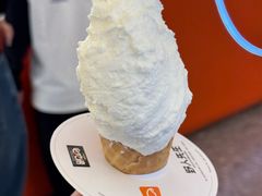 -野人先生现做冰淇淋(北京王府井东方新天地店)