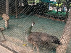 -陕西自然博物馆