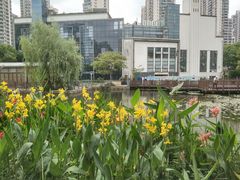 -苏州河梦清园环保主题公园