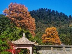 -贵州省植物园