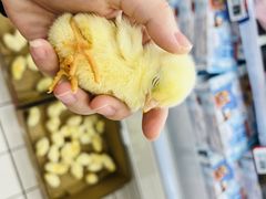 -物美大卖场(玉蜓桥店)