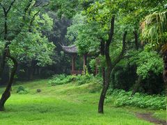 -杭州植物园