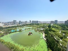 -青城公园