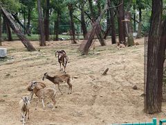 -秦皇岛野生动物园