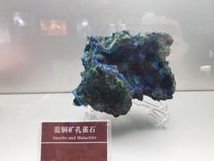 -甘肃地质博物馆