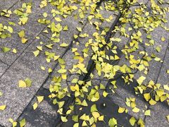 -杭州海华满陇度假酒店