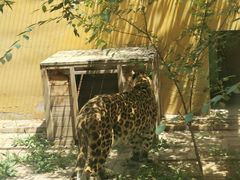 -青藏高原野生动物园