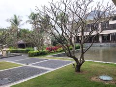 -采粤轩中餐厅(惠州金海湾喜来登度假酒店)