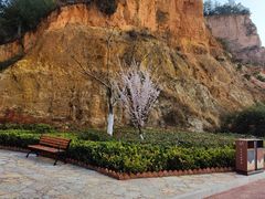 -彩色沙林风景区