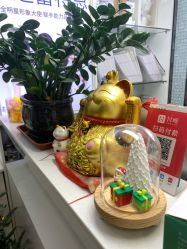 -蕾特恩专业祛痘