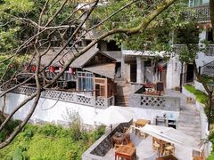 -南山植物园