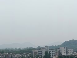 -罗亚帝·NASHOW纳秀形象设计