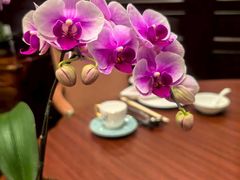 -明阁 Ming Court(广州朗豪酒店)
